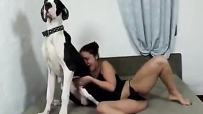 Bestiality games: sex married couple with dog