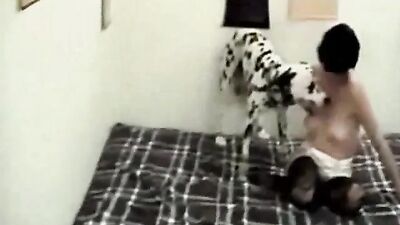 Dog fuck porn: porn dog porn