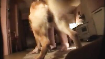 Zoo porn 2026: sex old man with an animal