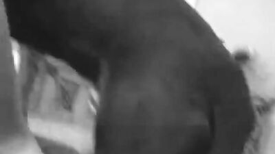 Art of zoo porno: dog sex mix