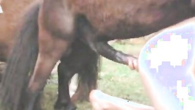 Zoo sex video: pig bestiality manga