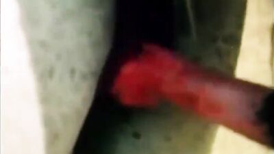 Girl playing dog: zoo big video