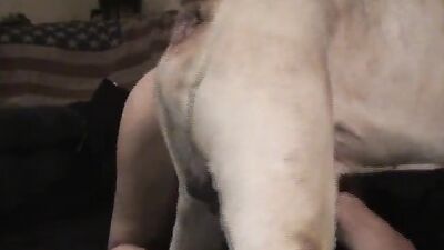 Girls 5 dogs: team russian dog sex original