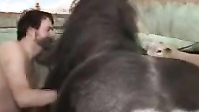 Bestiality hentai manga: zoo trash porn