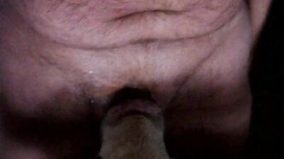 Zoo porn 2026: zoo zone porn