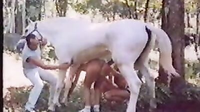 Animal zoo sex: zoophilia guys