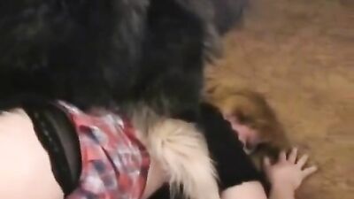 Bestiality sex: animal porn x
