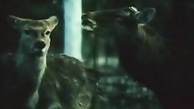 Zoo porn video: zoo porn full videos