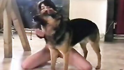 Porn comics bestiality: dog day cat nap sex