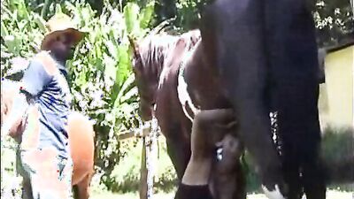 Zoo dog porn: porn turtle zoo