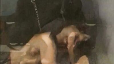 Zoo porn compilation: dog cum in pussy porn