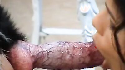 Gay zoo porn: o zoo sex sbs