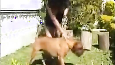 Sex animal's: zoophilia porno video