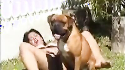 Sex animal's: zoophilia porno video