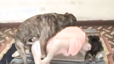 Mimi dog porn: zoo sex site