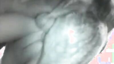 Mimi dog porn: zoo sex site