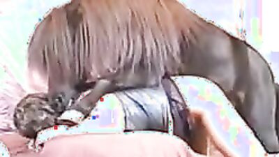 Fucking dogging porn: zoo fuck videos