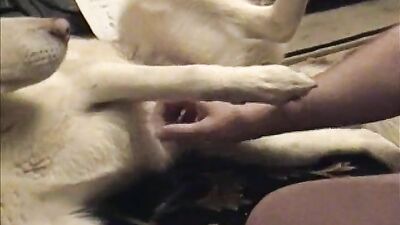 Mimi dog porn: dog porn 4