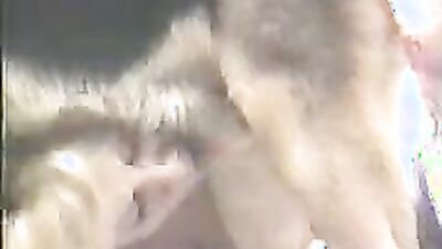 Animal zoo sex: tranny zoo porn