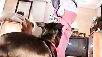 Dog fuck girl: free zoo porno video