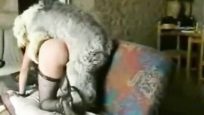 New zoo porn: porno dog sex 3d
