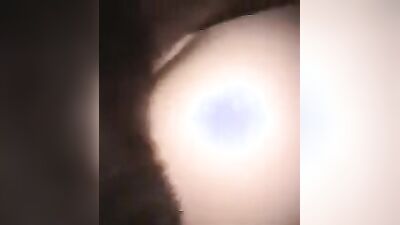 Dog's porn: zoo sex download