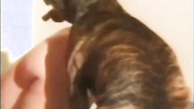 Zoo fucking porn: bestiality zoophilia