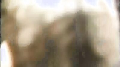 Zoo fucking porn: bestiality zoophilia