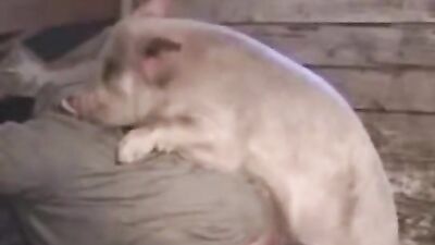 Boy girl dog: young girls loving dogs