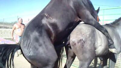Bestiality horse: young girl webcam dog