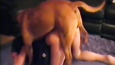 Gay zoo porn: boys zoo porn
