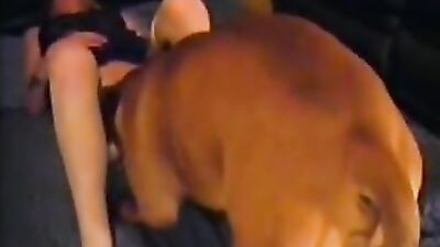 Gay zoo porn: boys zoo porn