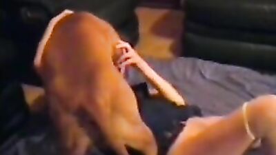 Gay zoo porn: boys zoo porn