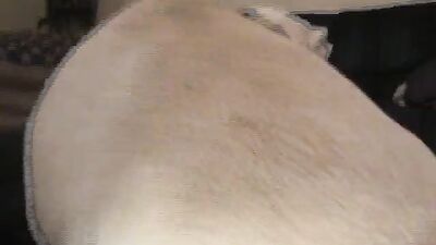 Zoo horse porn: donna zoo porn