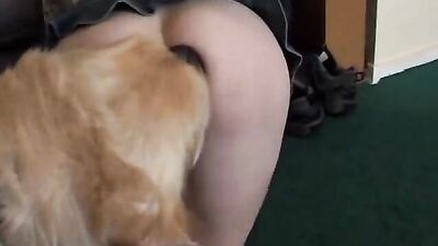 Sex animal's: dog licking teen porn