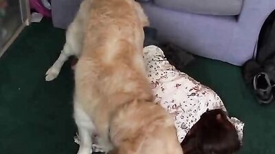 Sex animal's: dog licking teen porn