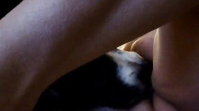 Bestiality video: zoophilia xxx