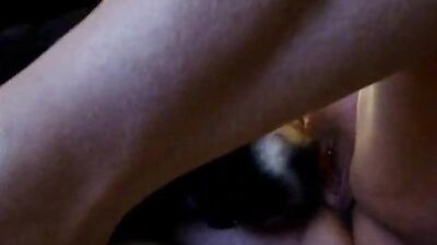 Bestiality video: zoophilia xxx