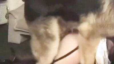 Zoophilia porno: 3d animal extreme porn