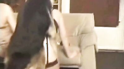 Zoophilia porno: 3d animal extreme porn