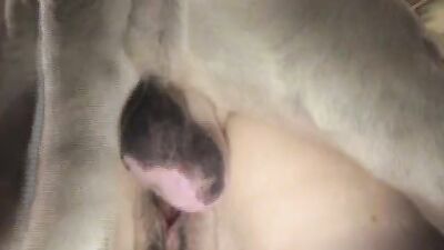 Zoo fuck porn: girl cam sex dog