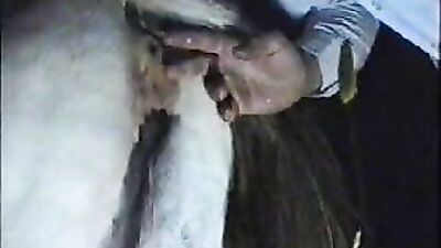 Zoophilia porno: coco triple x dog sex