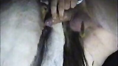 Zoophilia porno: coco triple x dog sex