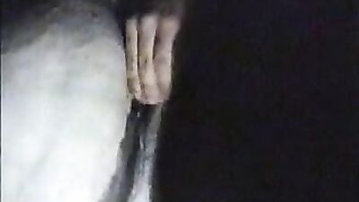 Zoophilia porno: coco triple x dog sex