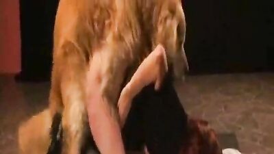 Bestiality video: porn man sex dog