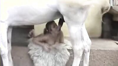 Fucking dogging porn: bestiality puppy