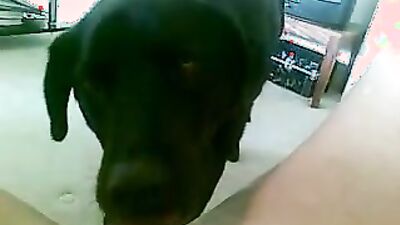 Teen dog sex: animal sex porno zoo dogs anal