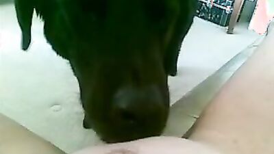 Teen dog sex: animal sex porno zoo dogs anal