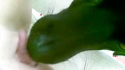 Teen dog sex: animal sex porno zoo dogs anal