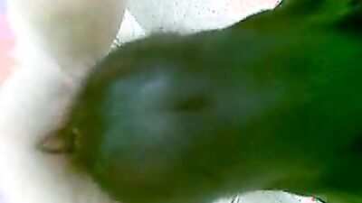 Teen dog sex: animal sex porno zoo dogs anal